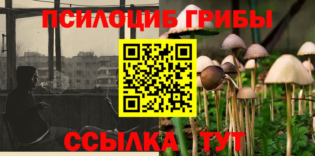 Галлюциногенные грибы MAGIC MUSHROOMS Энгельс